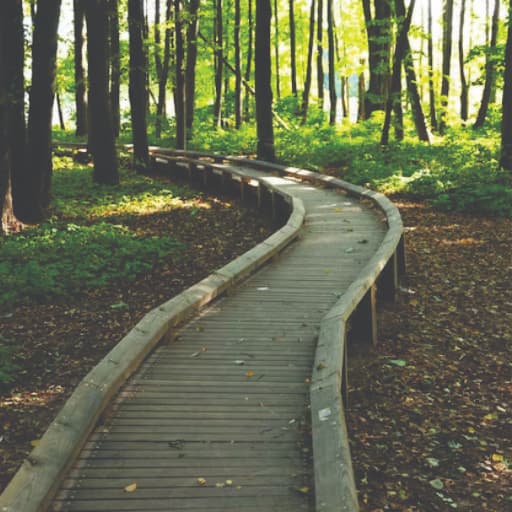 sendero-ecologico-jardines-de-bellavista-ortiz-finca-raiz